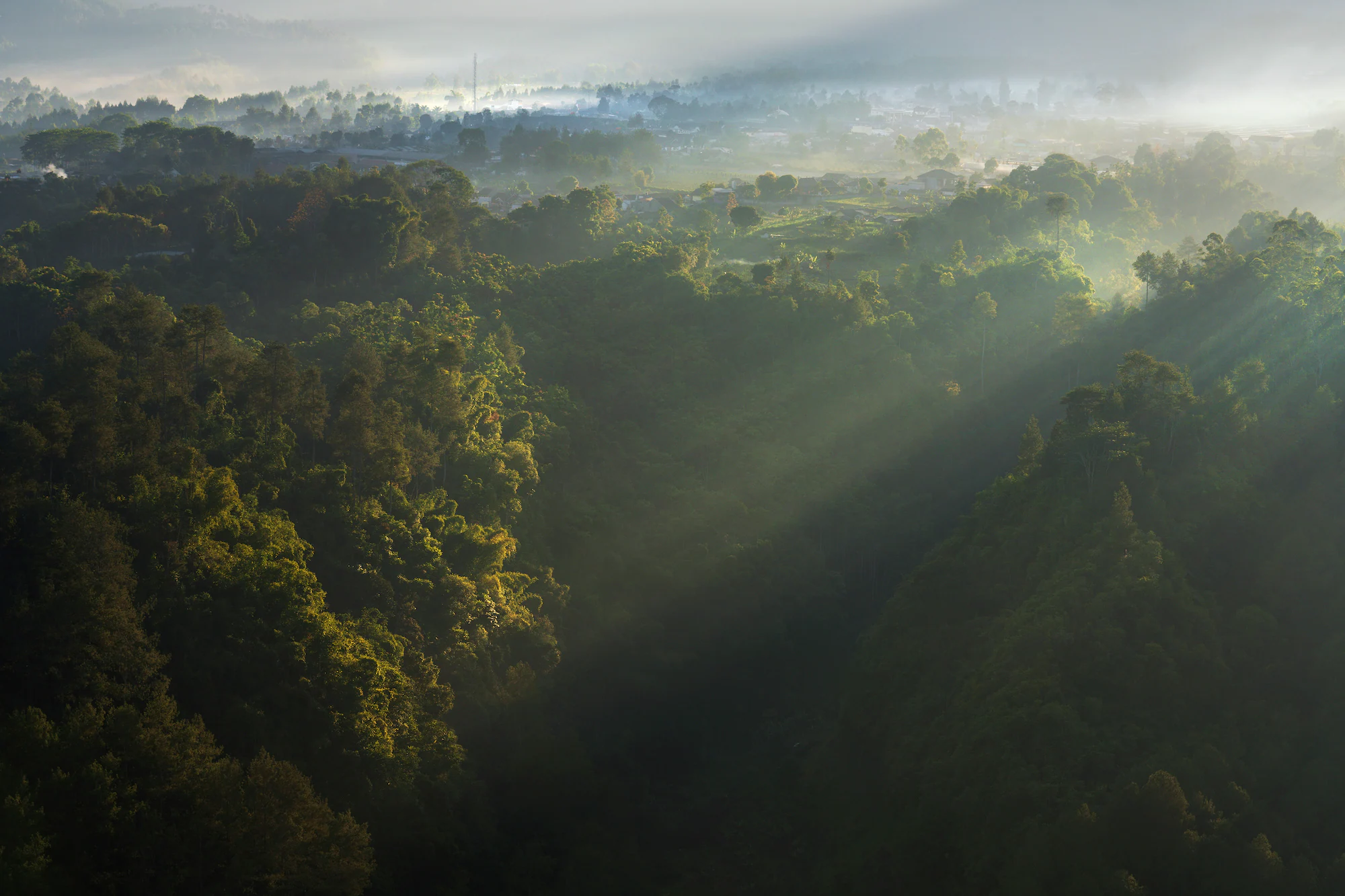 The telephoto lens of the FE 70-200mm F2.8 GM OSS boasts Optical Steady Shoot (OSS) and 5 axis in-body stabilisation for stunning natural scenery shots