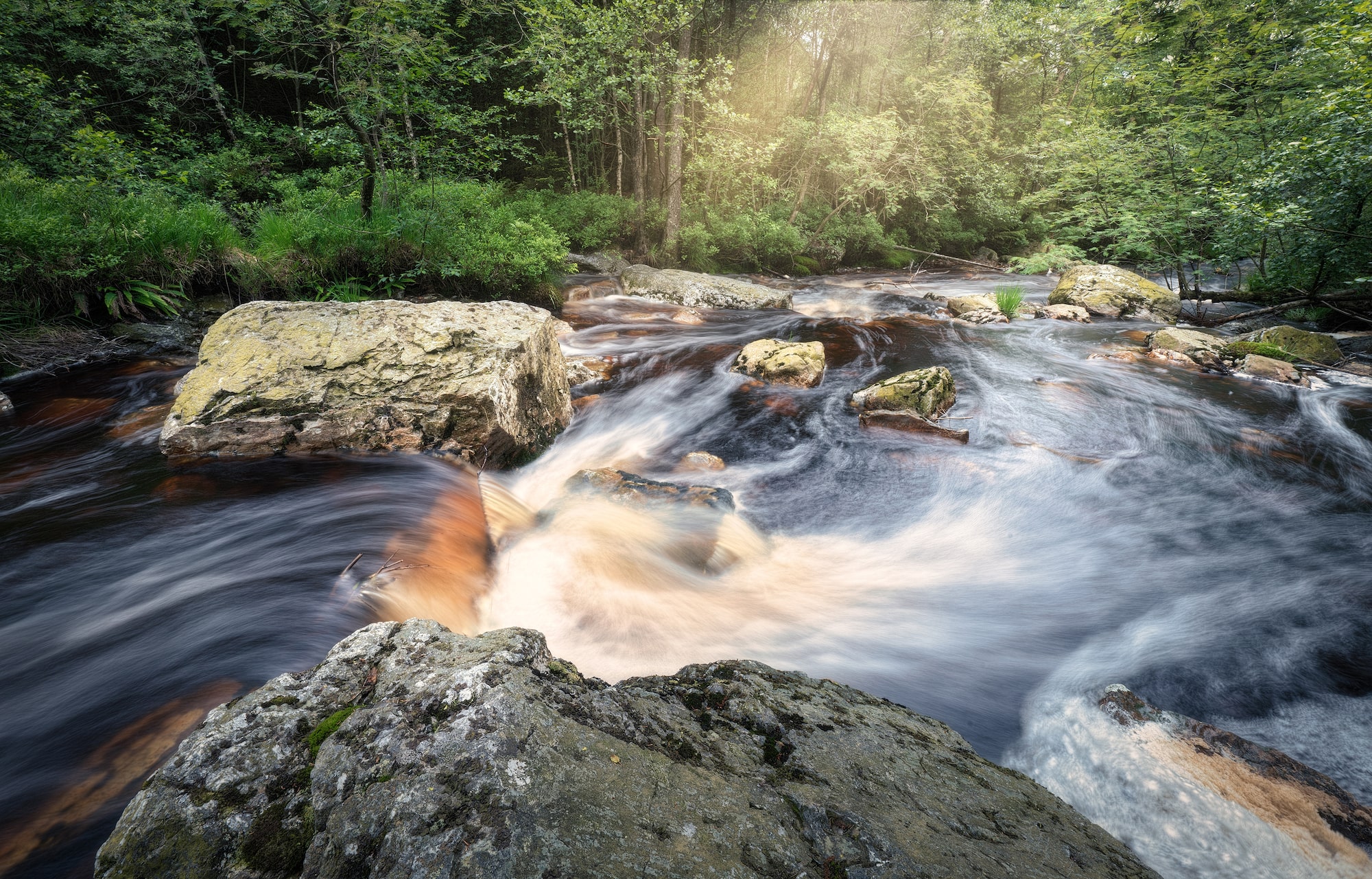 michael schaake sony alpha 7RM4 a fast flowing river