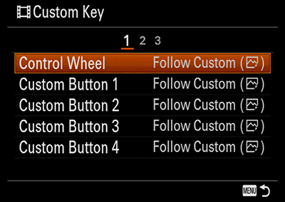 Customizing buttons 1