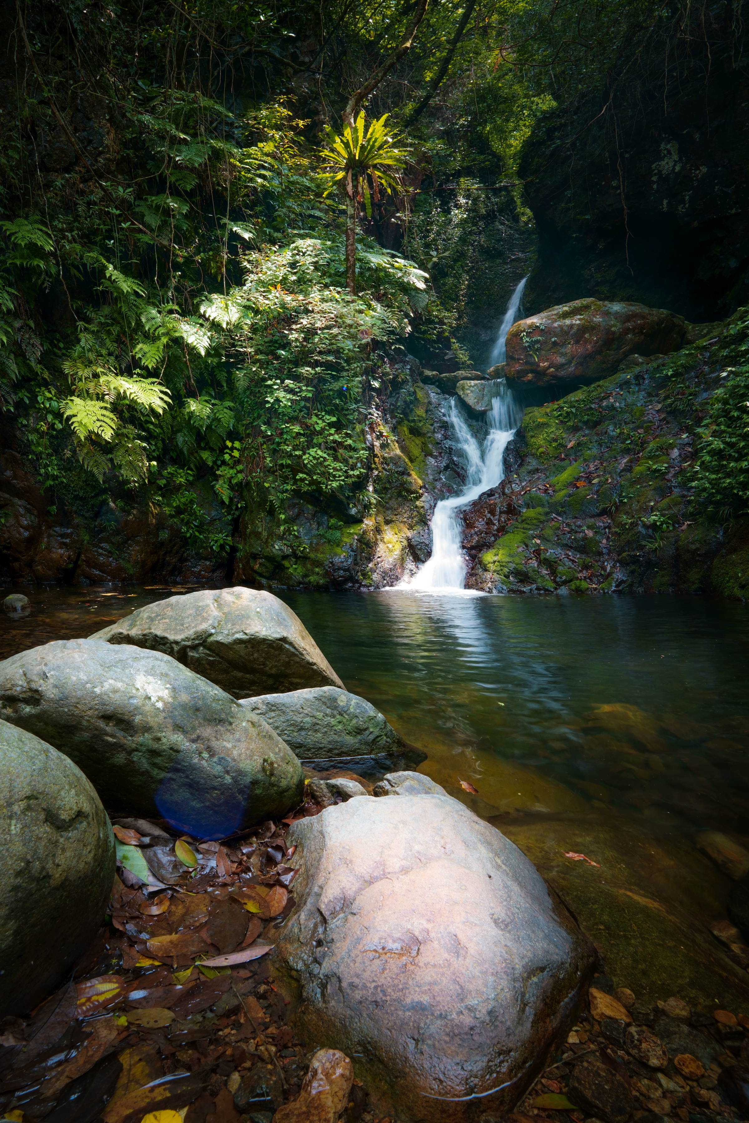 Ng Tung Chai Stream(1)