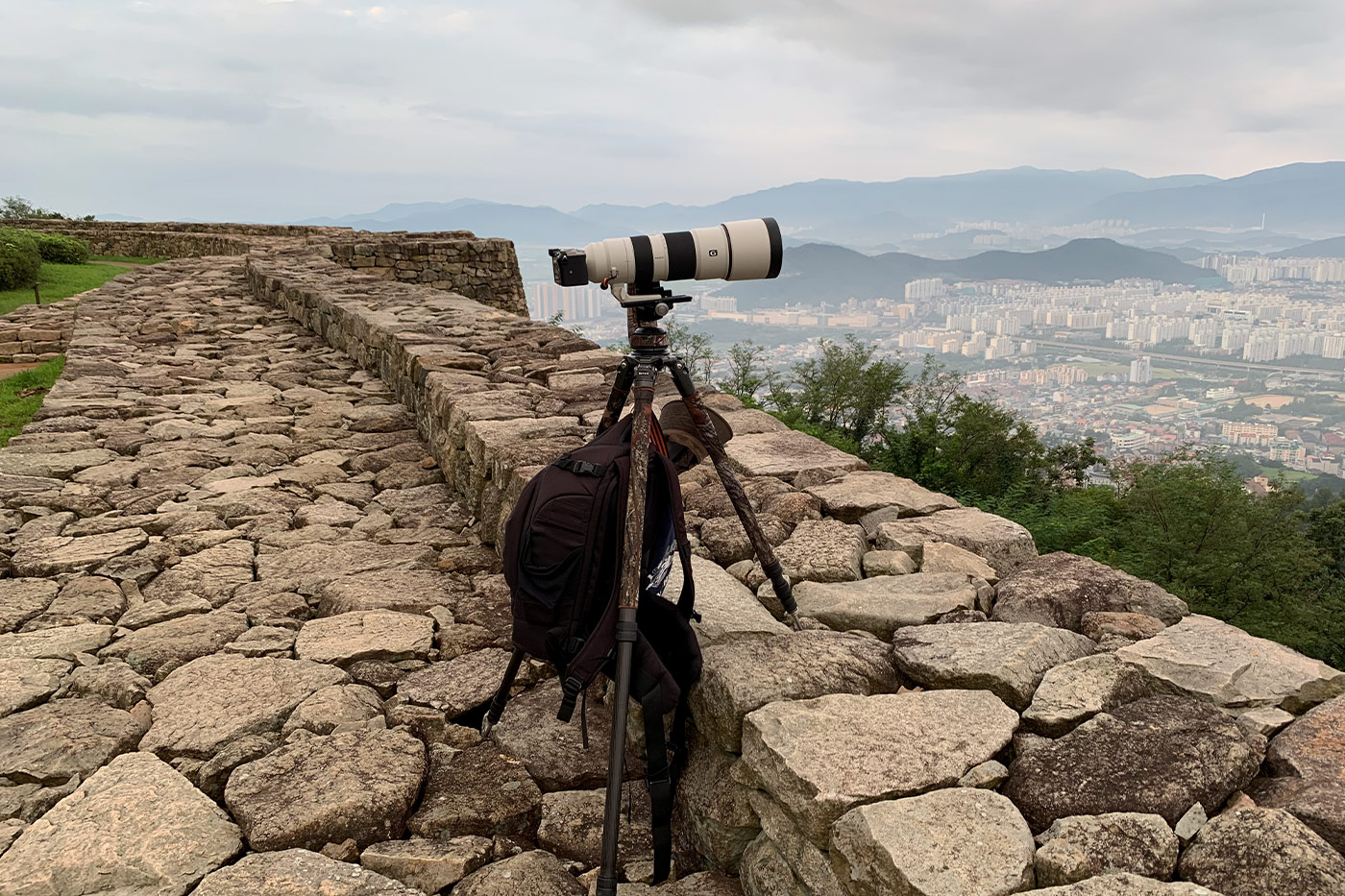 Taking flight with bird photography with Cho JungRae 9