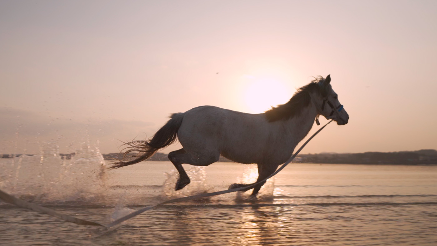 Scene 4.1 Capturing the beauty and strength of a horse in nature