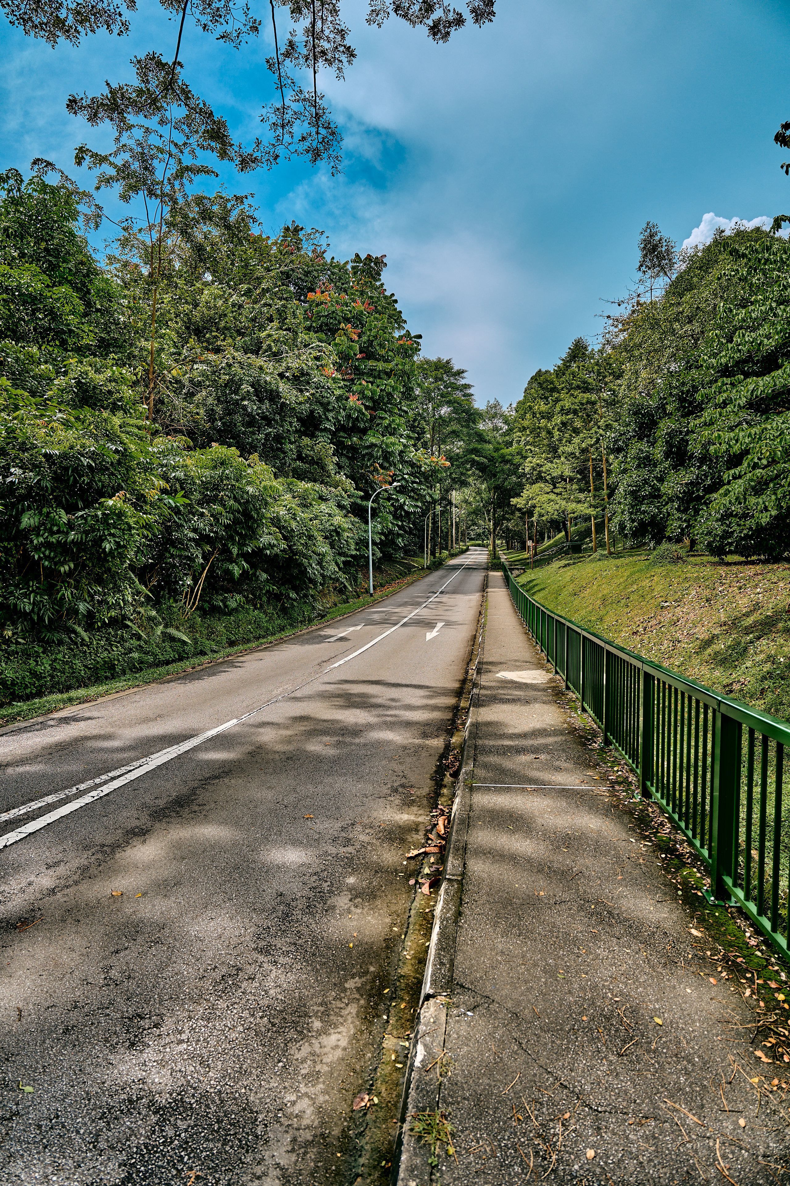 wide shot of road 