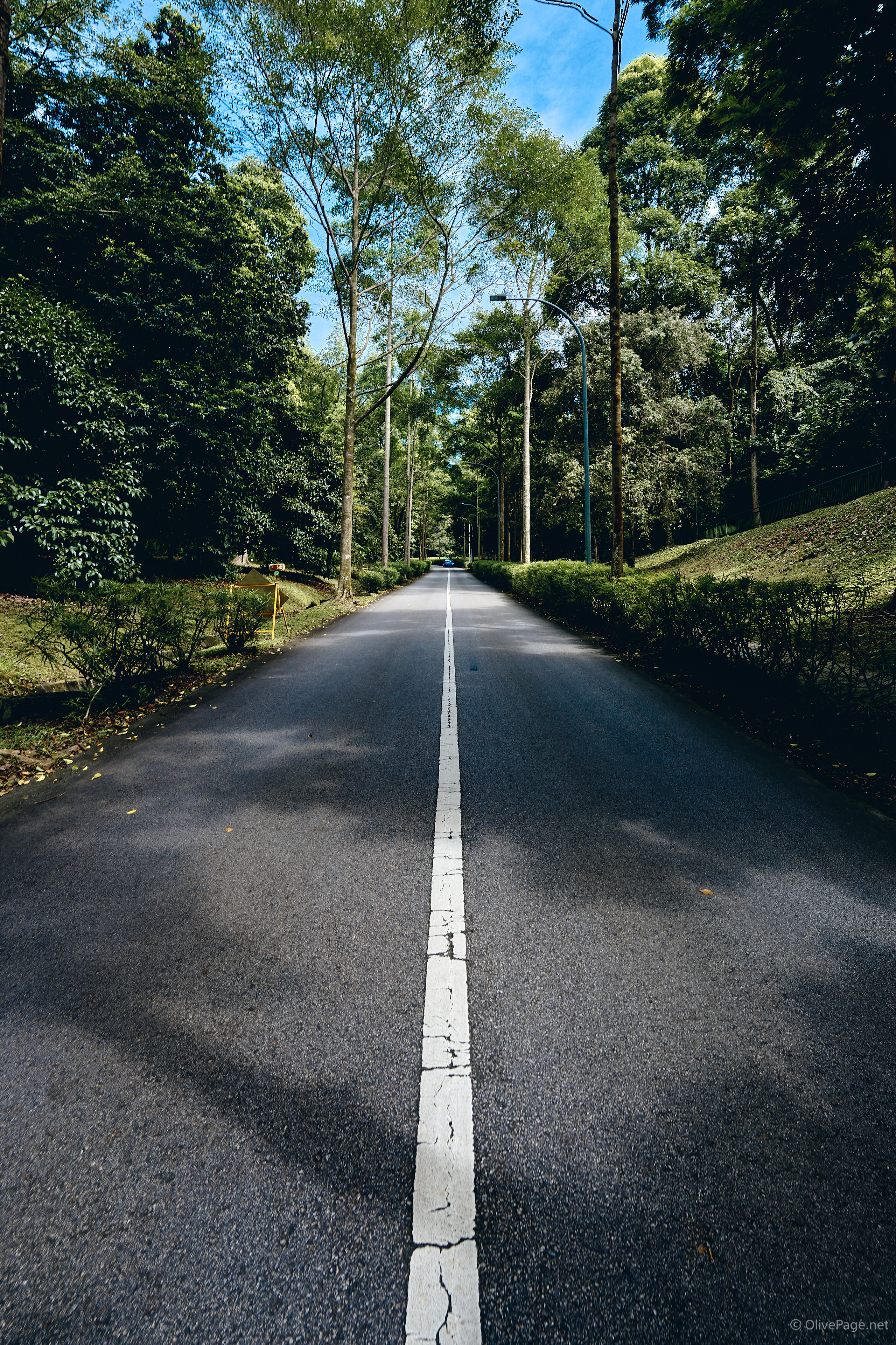 perspective shot of road